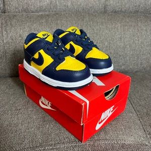 Nike Dunk Low toddler 6C Used Gently